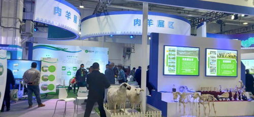 第八屆內蒙古綠色農畜產品博覽會暨優良品種推廣會 創新服務模式，擘畫綠色發展新藍圖